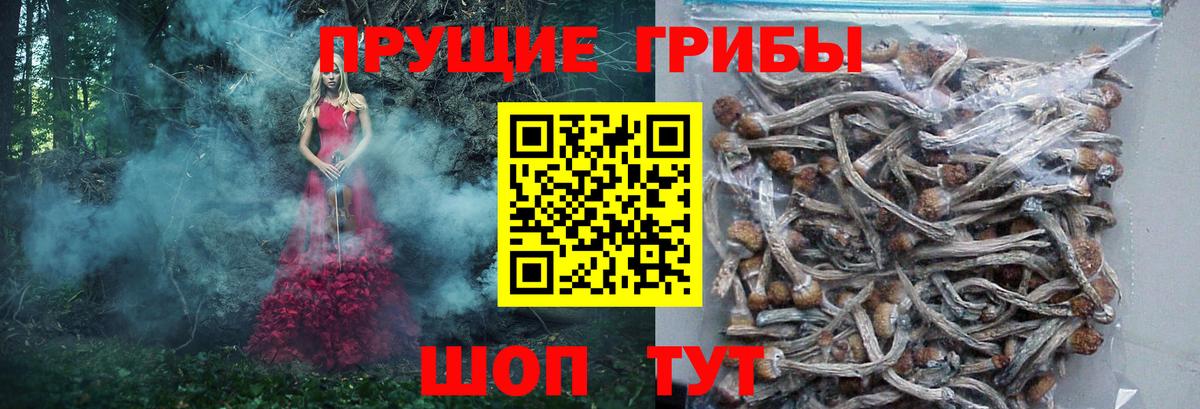 Галлюциногенные грибы мухоморы Железногорск