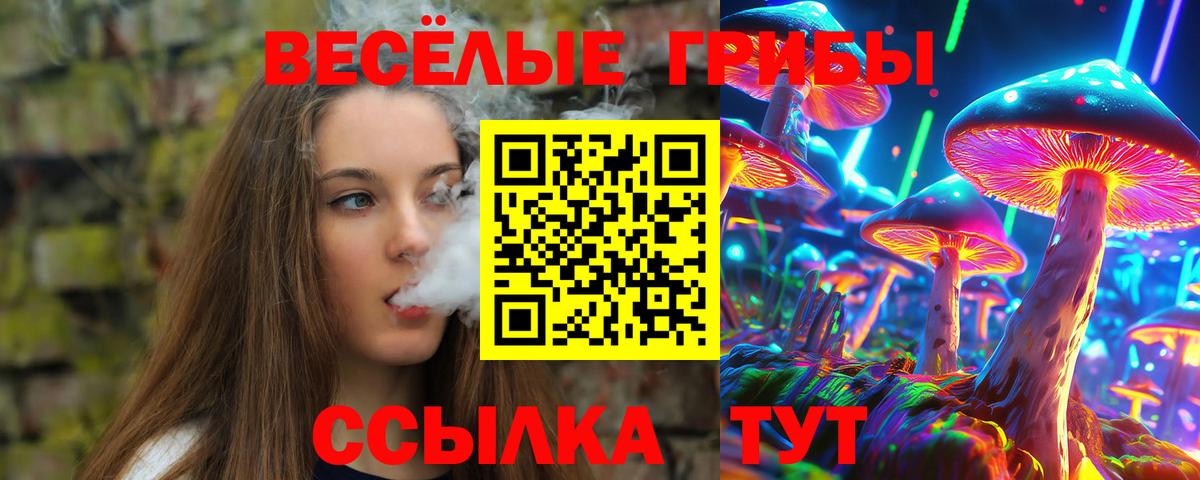Железногорск  Галлюциногенные грибы ЛСД  Вход с VPN  Псилоцибиновые грибы GOLDEN TEACHER 
